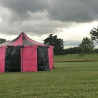 20ft Pink & Black