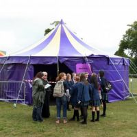 30ft Purple and Cream