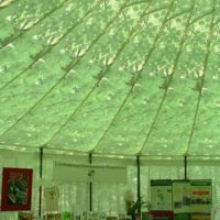 40ft Forest interior