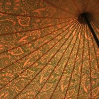 40ft_Paisley_interior